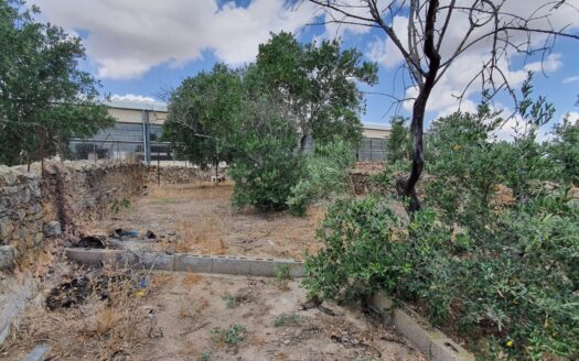 Amplia casa en venta en Pedroche de 500m2