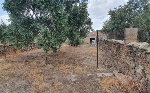 Amplia casa en venta en Pedroche de 500m2