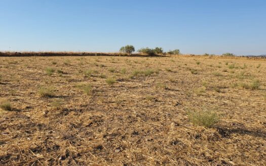 Venta de terreno entre Añora y Dos Torres