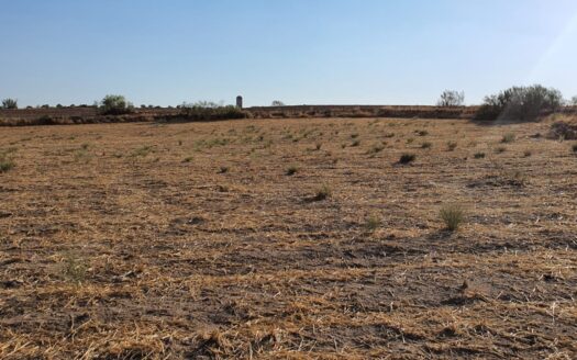 Venta de terreno entre Añora y Dos Torres
