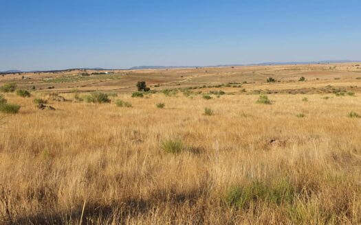 Venta de terreno entre Añora y Dos Torres
