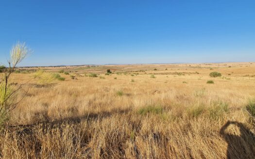 Venta de terreno entre Añora y Dos Torres