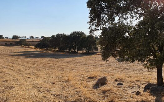 Venta de terreno entre Añora y Dos Torres