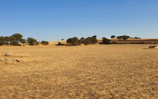 Venta de terreno entre Añora y Dos Torres