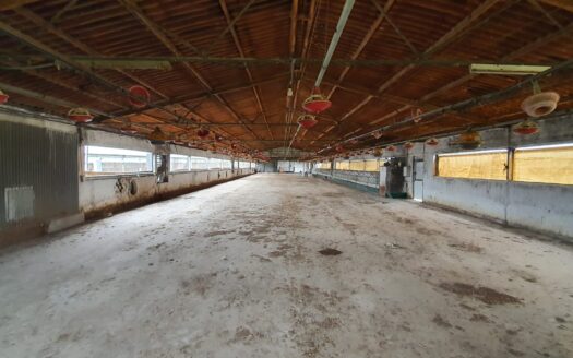 Venta de naves con chalet en Dos Torres
