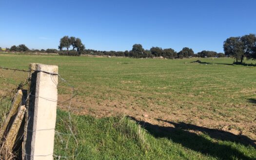 Venta de terreno en Dos Torres