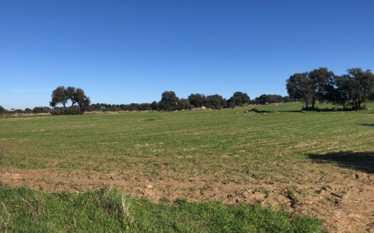 Venta de terreno en Dos Torres
