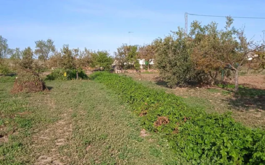 Venta de terreno cerca de Añora, Dos Torres y Pozoblanco