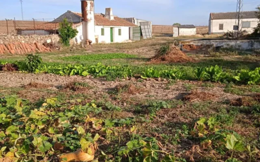 Venta de terreno cerca de Añora, Dos Torres y Pozoblanco