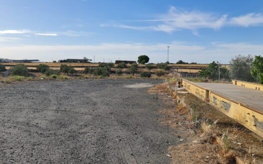 Venta de terrenos (fábrica de piensos, nave ganadera)