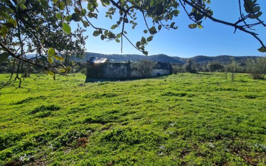 Venta de terreno junto a Puerto Calatreveño