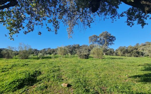 Venta de terreno junto a Puerto Calatreveño