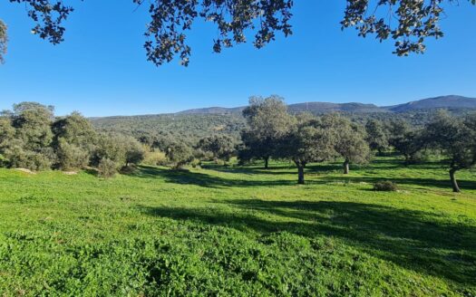 Venta de terreno junto a Puerto Calatreveño