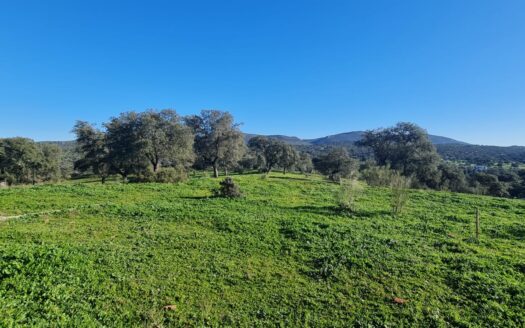 Venta de terreno junto a Puerto Calatreveño