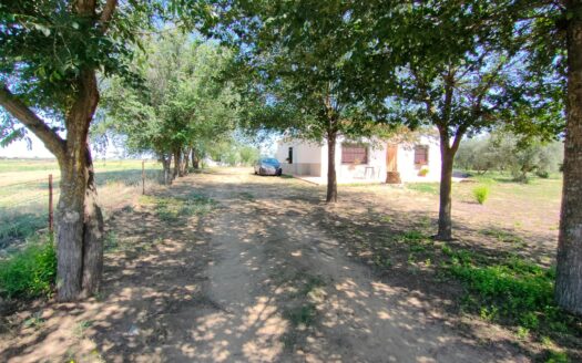 Venta de chalet en Alcaracejos