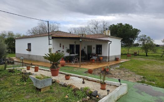 Venta de chalet en Alcaracejos