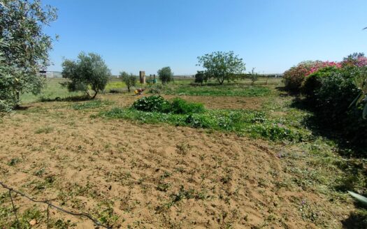 Venta de chalet en Alcaracejos
