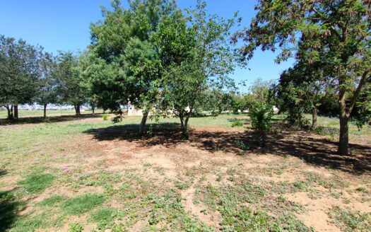 Venta de chalet en Alcaracejos