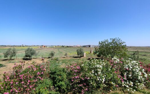 Venta de chalet en Alcaracejos