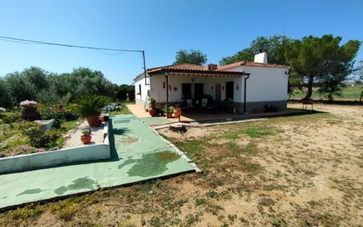 Venta de chalet en Alcaracejos