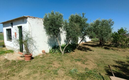 Venta de chalet en Alcaracejos